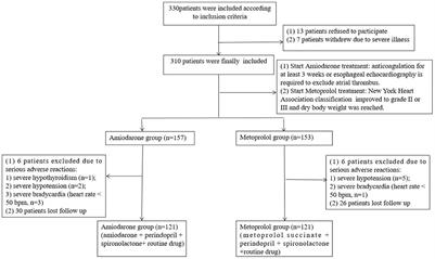 Amiodarone vs. metoprolol succinate in HFrEF complicated with persistent atrial fibrillation with rapid ventricular response: A prospective observational study